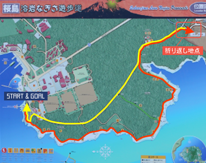 桜島溶岩ロード 早朝ファンランマップ